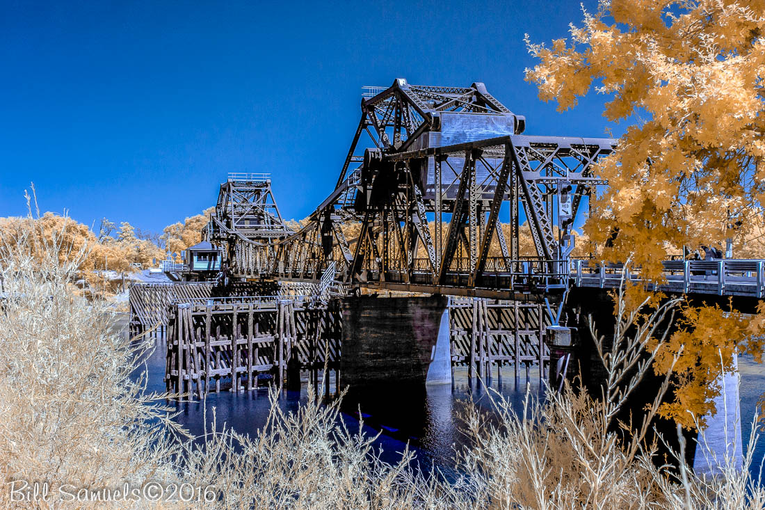 Delta Bridge Kolari Vision